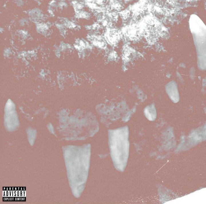 Tory Lanez Crocodile Teeth
